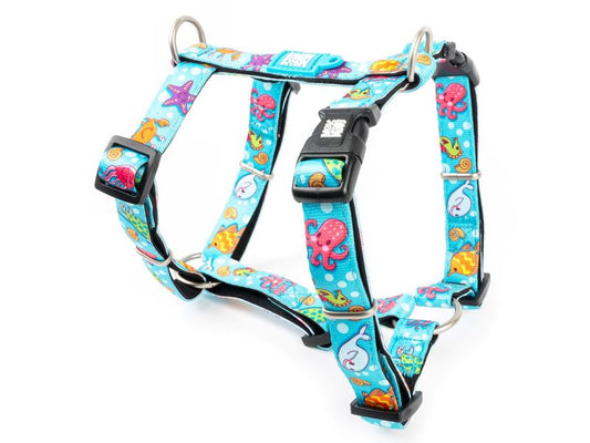 Max & Molly Blue Ocean H Harness Medium