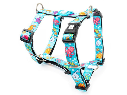 Max & Molly Blue Ocean H Harness Small