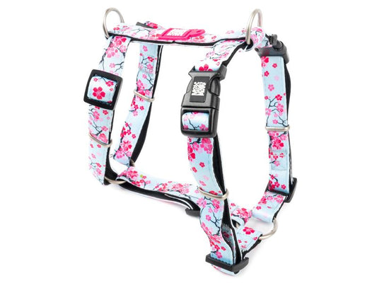 Max & Molly Cherry Blossom H Harness Medium