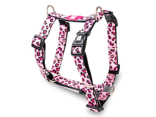 Max & Molly Leopard Pink H Harness XS