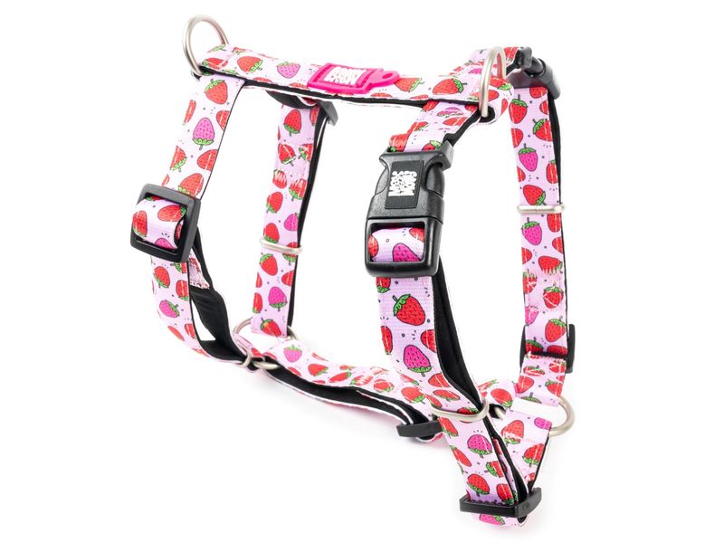 Max & Molly Strawberry H Harness Large