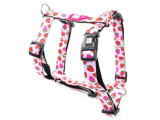 Max & Molly Strawberry H Harness Large