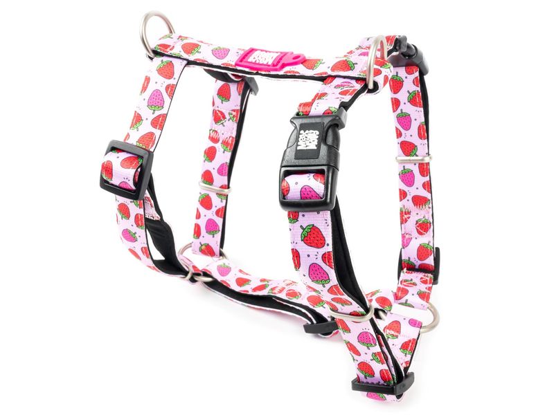 Max & Molly Strawberry H Harness Medium