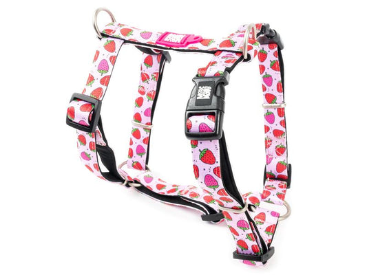 Max & Molly Strawberry H Harness Medium