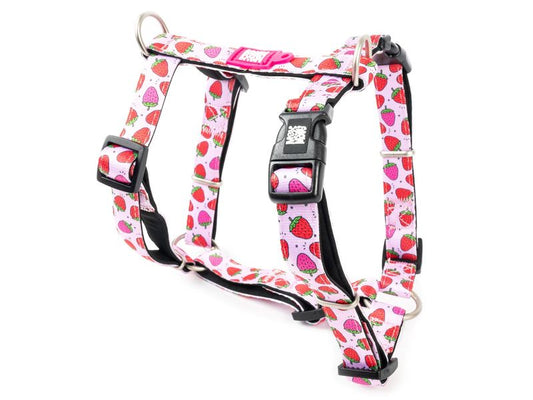 Max & Molly Strawberry H Harness Small