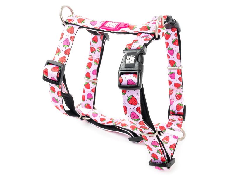 Max & Molly Strawberry H Harness XS