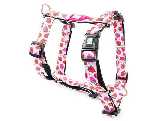 Max & Molly Strawberry H Harness XS