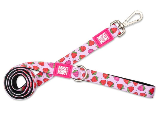 Max & Molly Strawberry Lead Medium 2cm x 200cm