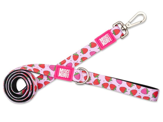 Max & Molly Strawberry Lead Small 1.5cm x 200cm