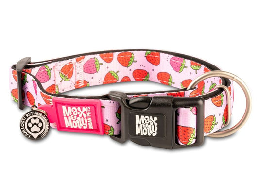 Max & Molly Strawberry Smart ID Collar Medium