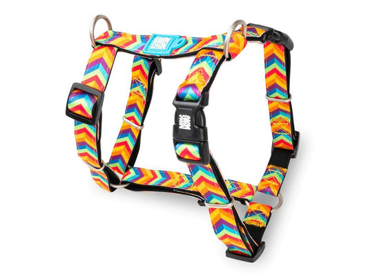 Max & Molly Summertime H Harness Small