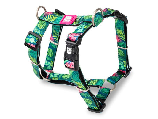 Max & Molly Tropical H Harness Large