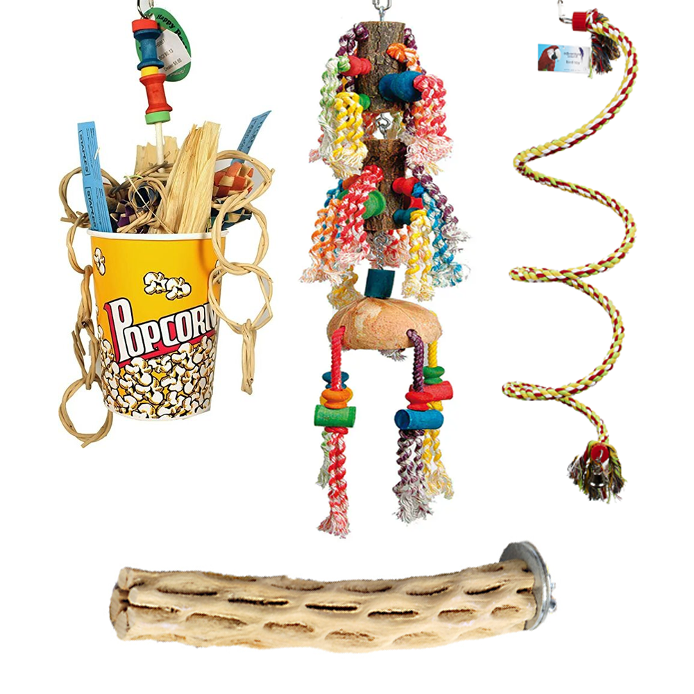 Medium Parrot Toy Bundle