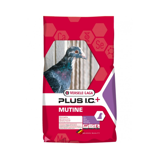 Versele-Laga Mutine Plus I.C. 20kg