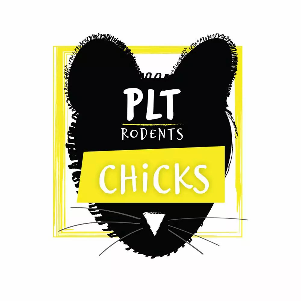 PLT Frozen Chicks 2KG
