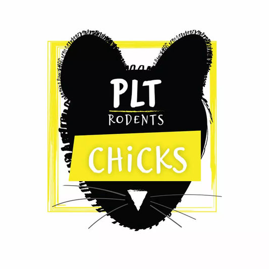 PLT Frozen Chicks 25 Pack