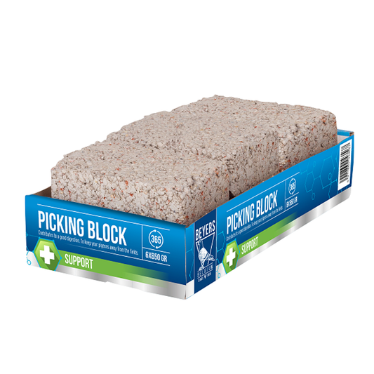 Beyers Picking Block Tray of 6