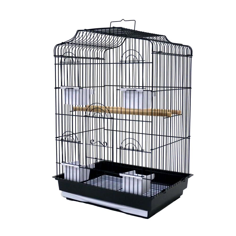 RC Santiago Cage