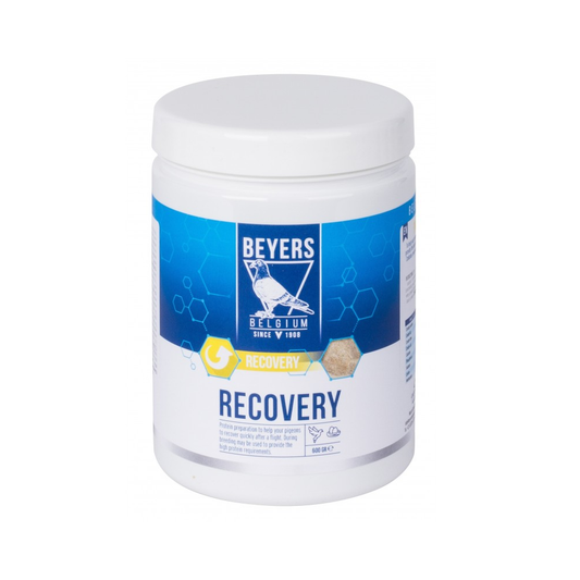 Beyers Recovery 600g