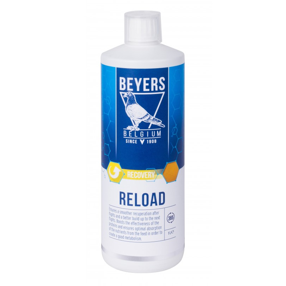Beyers Reload 1L