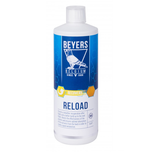 Beyers Reload 1L