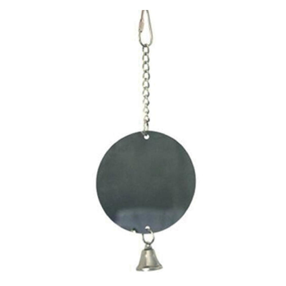 Round Mirror Toy