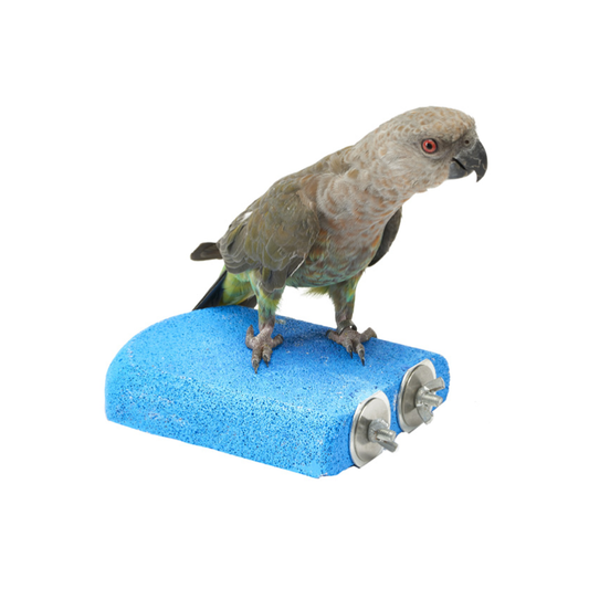Sanded Shelf Perch