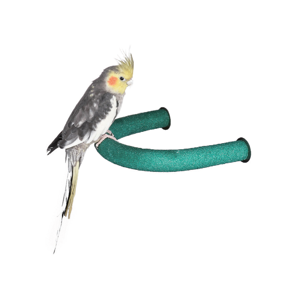 Sandy Corner Perch