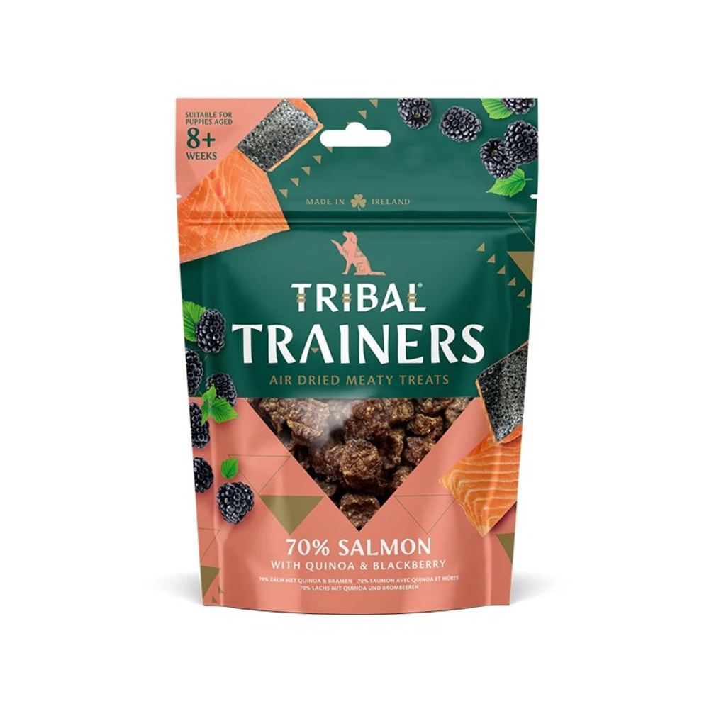 Tribal Trainers Salmon & Blackberry 80g