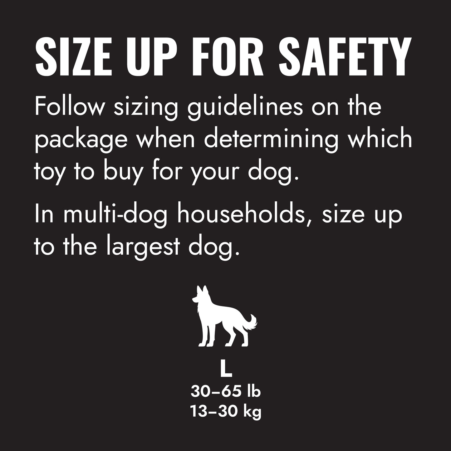 KONG Extreme Flyer L