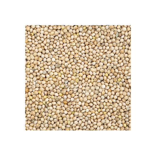 Versele-Laga White Millet Seed 25kg