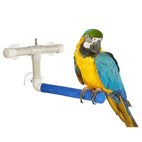 Window & Shower Perch Large