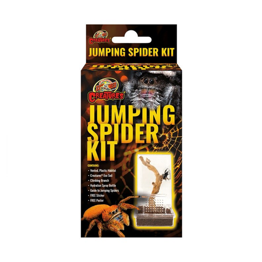 ZooMed Jumping Spider Kit