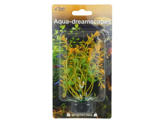 Lemon Creeping Herb 10cm Plastic Plant