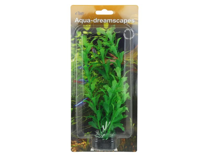 Water Hyssop 20cm Plastic Plant