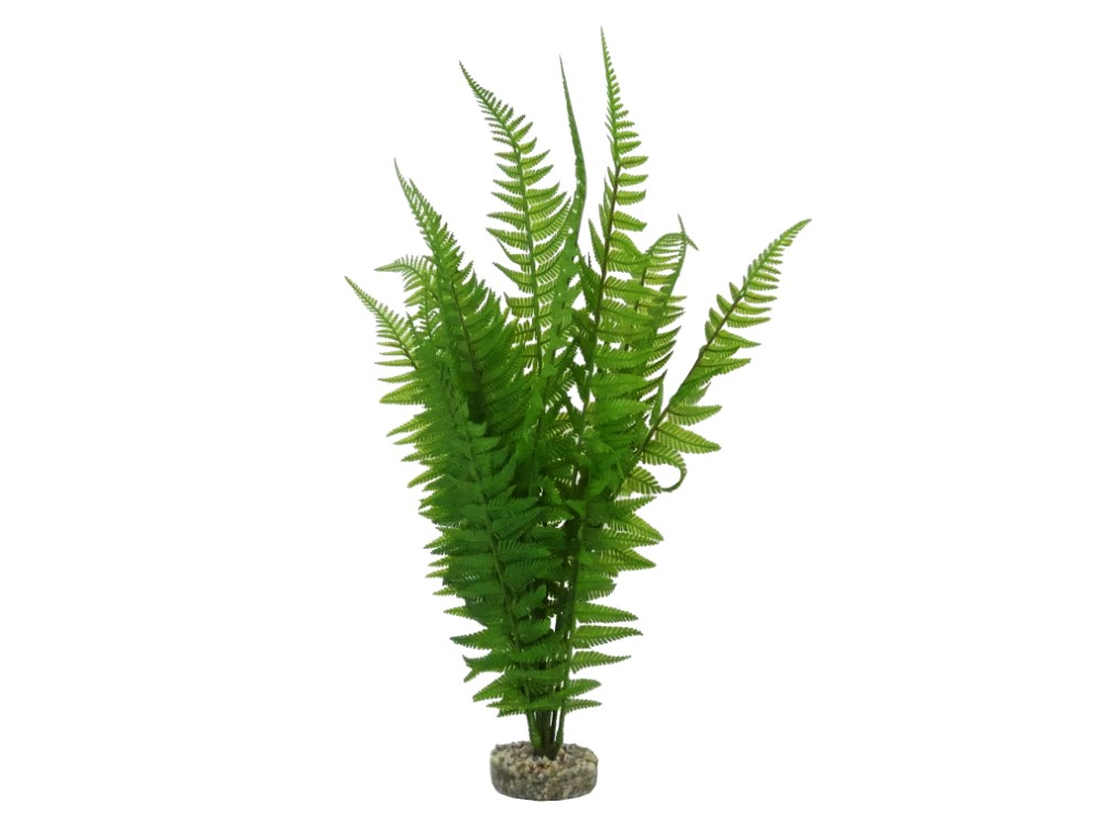 Sydeco Terra Fern 46cm