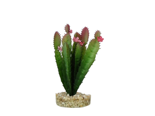 Sydeco Terra Cactus Flower 17cm