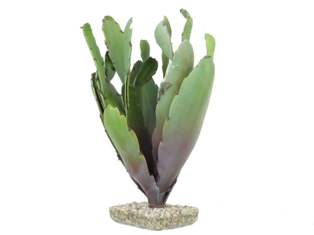 Sydeco Terra Cactus 31cm