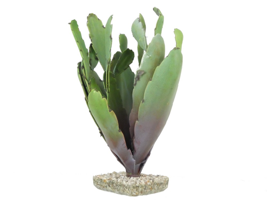 Sydeco Terra Cactus 31cm
