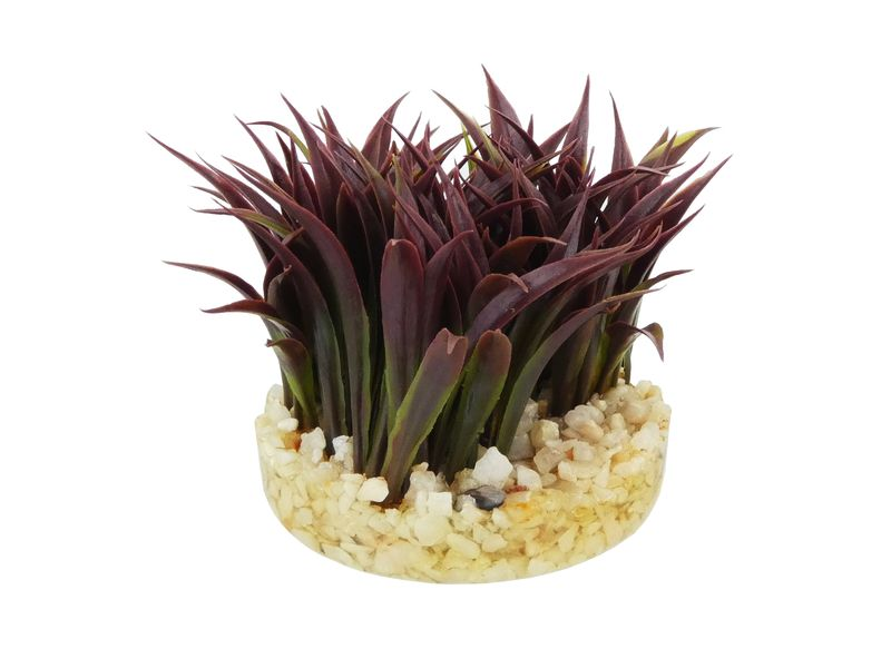 Sydeco Aqua Deluxe Plant 6cm
