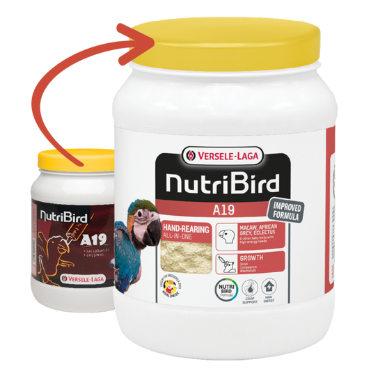 Versele Laga NutriBird A19 800g