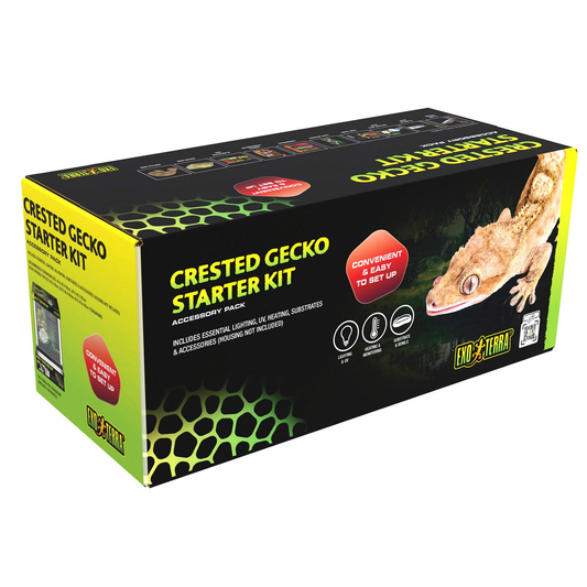 Exo Terra Crested Gecko Accessory Kit