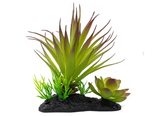 Pro Rep Agave Plant On Log 15CM