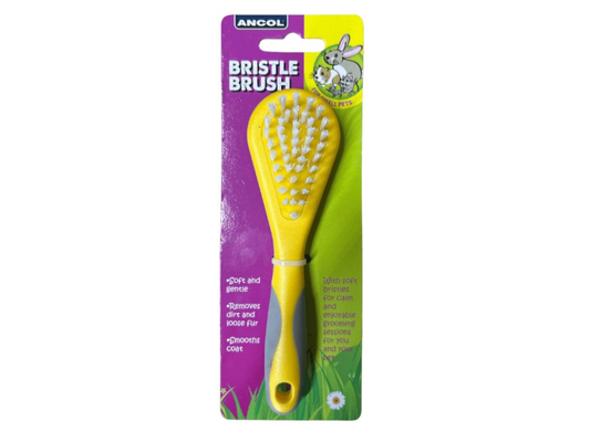 Rabbit Brush
