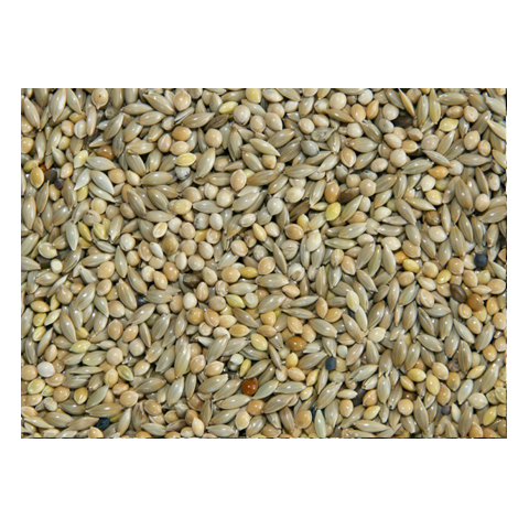 Bamfords Top Flight 50/50 Budgie Food 20kg