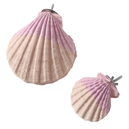 Edible Calcium Clam Large