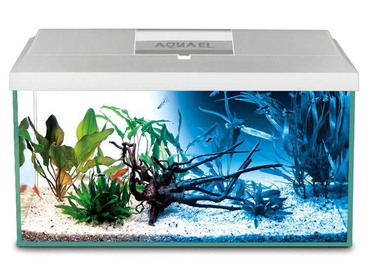 Aquael Leddy White Tropical 54L Aquarium 60cm