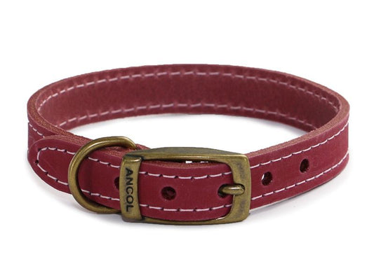 TIMBERWOLF LEATHER COLLAR RASP 45-54 S6
