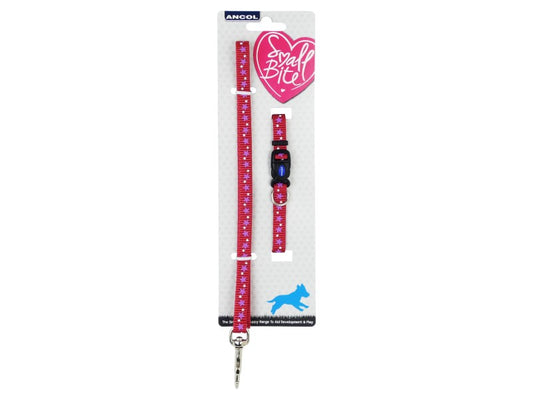 Small Bite Stars Puppy Collar & Lead Red