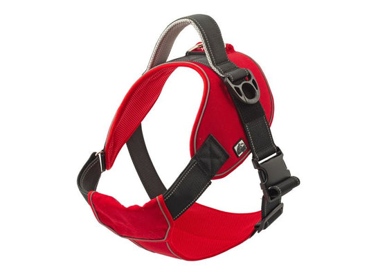 Extreme Harness Red Large